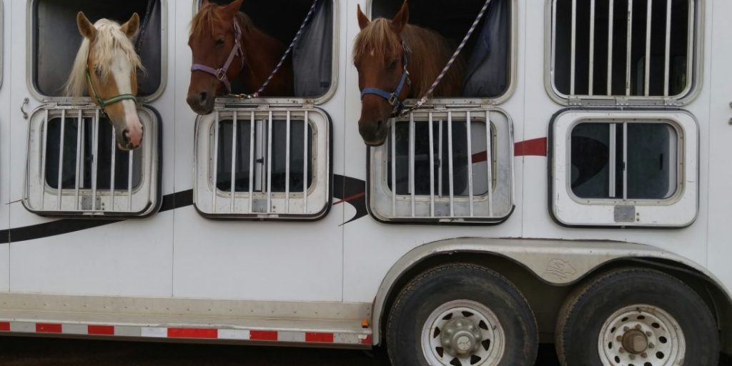 horse trailer service